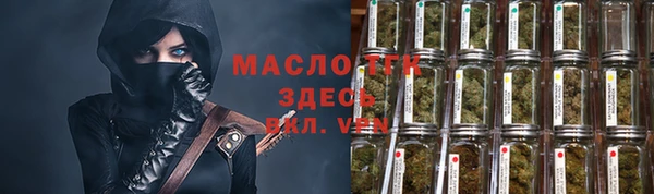 мет Алексин
