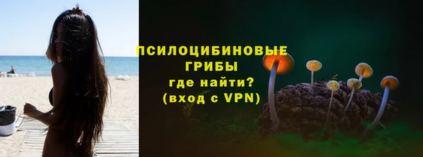 мет Алексин