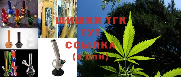 мет Алексин